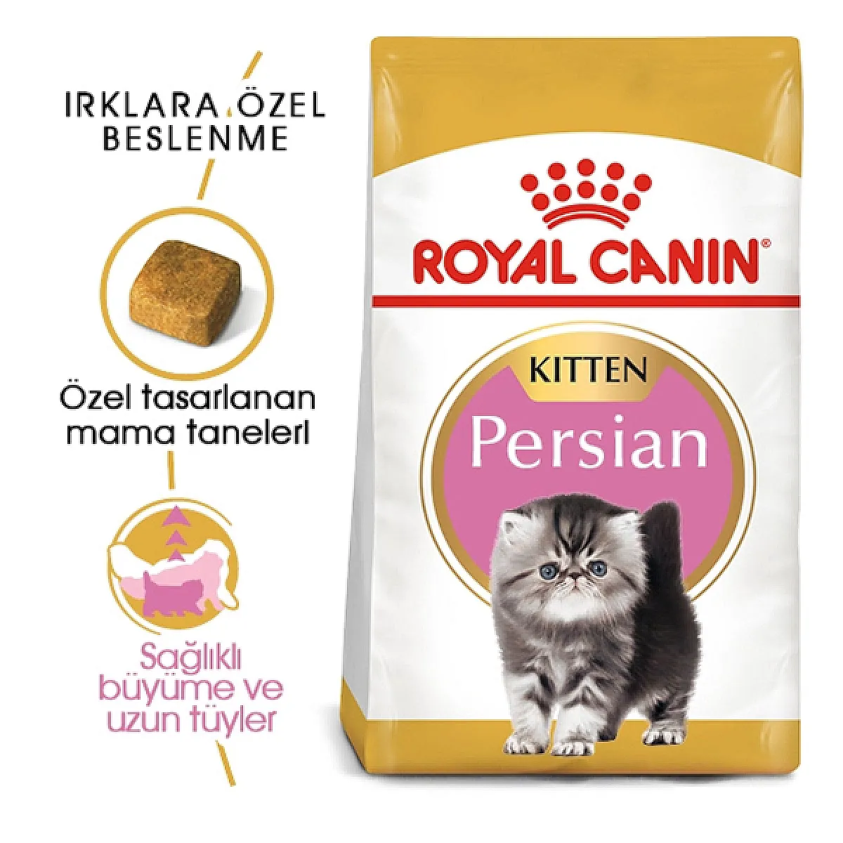 Royal Canin Iran Kedisi Yavru Kedi Maması 2 kg