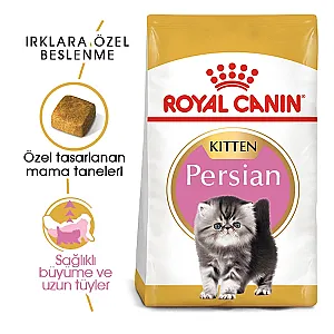Royal Canin Iran Kedisi Yavru Kedi Maması 2 kg - 3