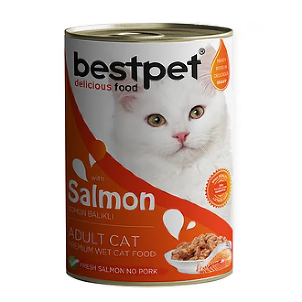Bestpet Somon Etli Yetişkin Kedi Konservesi 400 g