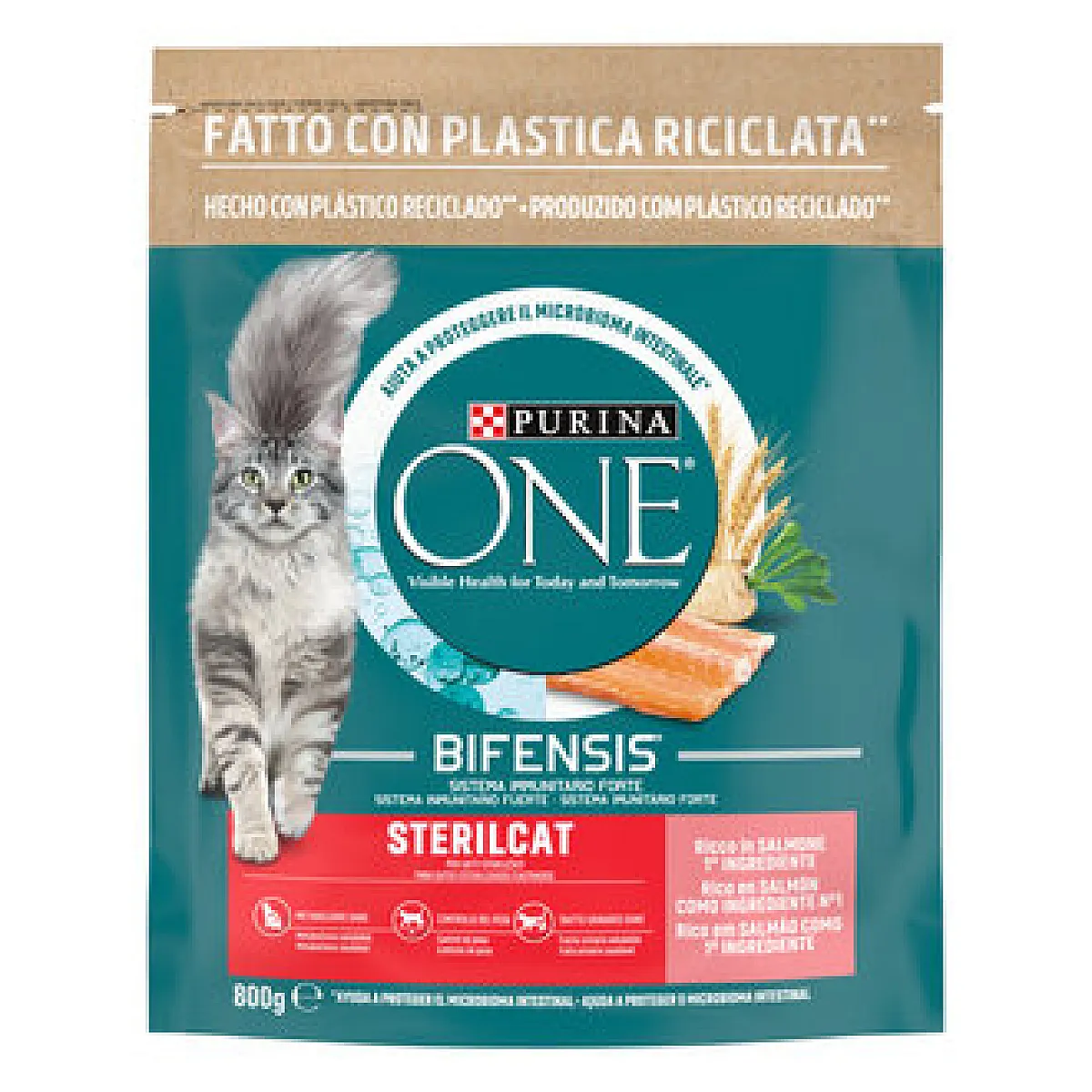 Purina One Kedi Maması Somonlu 800g