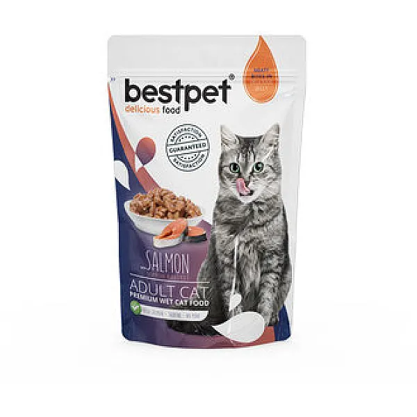 Bestpet Premium Somonlu Kedi Maması 85 g